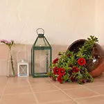 La Orquidea De Córdoba