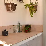 La Orquidea De *