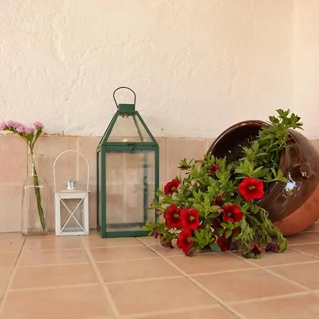 La Orquidea De Cordoba