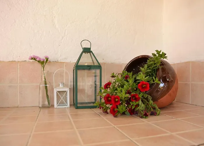 La Orquidea De Córdoba