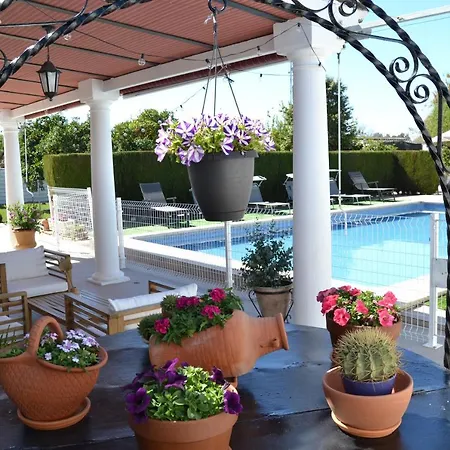 La Orquidea De Сasa de vacaciones *