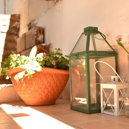 Hébergement de vacances La Orquidea De Cordoue