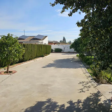 La Orquidea De * Córdoba