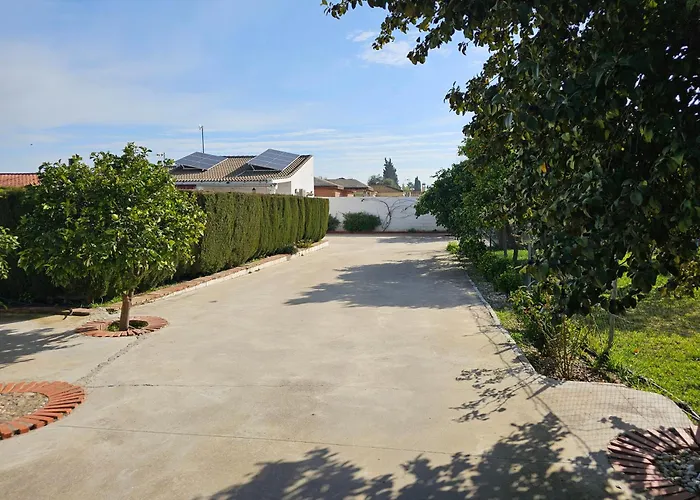 La Orquidea De * Córdoba